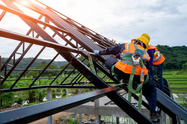 Roof Gutter Cleaning in Ninety Six, SC